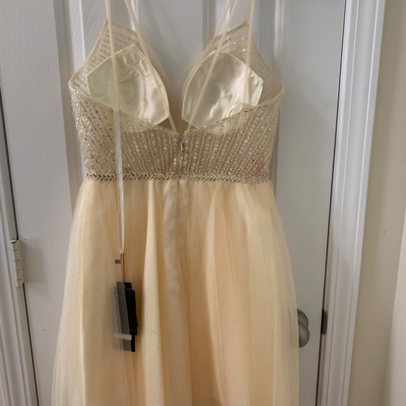 Cinderella Divine CD0148 (Champagne Color) - Picture 2 of 4